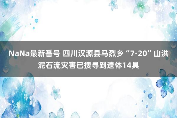 NaNa最新番号 四川汉源县马烈乡“7·20”山洪泥石流灾害已搜寻到遗体14具