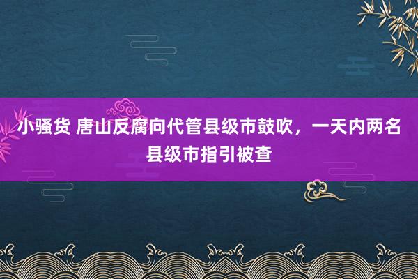 小骚货 唐山反腐向代管县级市鼓吹，一天内两名县级市指引被查