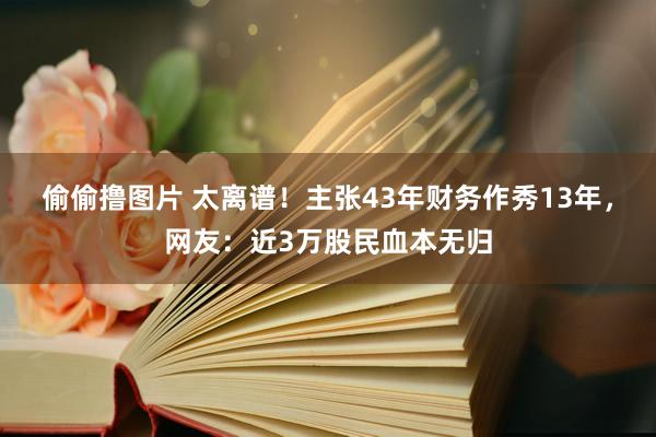 偷偷撸图片 太离谱！主张43年财务作秀13年，网友：近3万股民血本无归