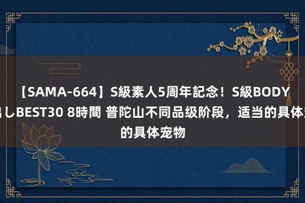 【SAMA-664】S級素人5周年記念！S級BODY中出しBEST30 8時間 普陀山不同品级阶段，适当的具体宠物