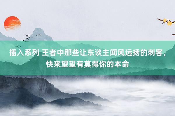 插入系列 王者中那些让东谈主闻风远扬的刺客，快来望望有莫得你的本命