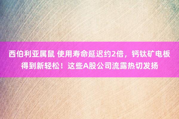 西伯利亚属鼠 使用寿命延迟约2倍，钙钛矿电板得到新轻松！这些A股公司流露热切发扬