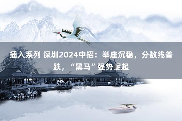 插入系列 深圳2024中招：举座沉稳，分数线普跌，“黑马”强势崛起