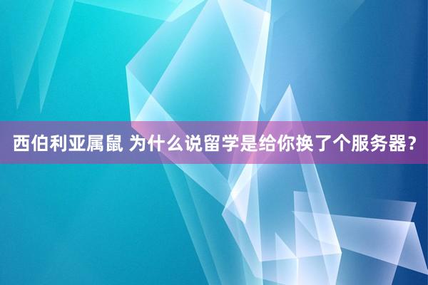 西伯利亚属鼠 为什么说留学是给你换了个服务器？