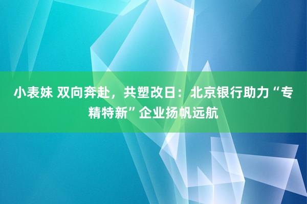 小表妹 双向奔赴，共塑改日：北京银行助力“专精特新”企业扬帆远航