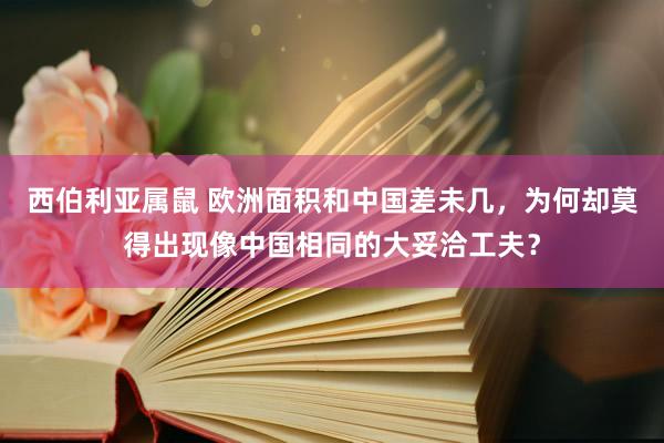 西伯利亚属鼠 欧洲面积和中国差未几，为何却莫得出现像中国相同的大妥洽工夫？