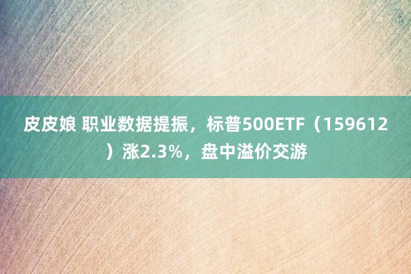 皮皮娘 职业数据提振，标普500ETF（159612）涨2.3%，盘中溢价交游