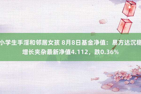 小学生手淫和邻居女孩 8月8日基金净值：易方达沉稳增长夹杂最新净值4.112，跌0.36%