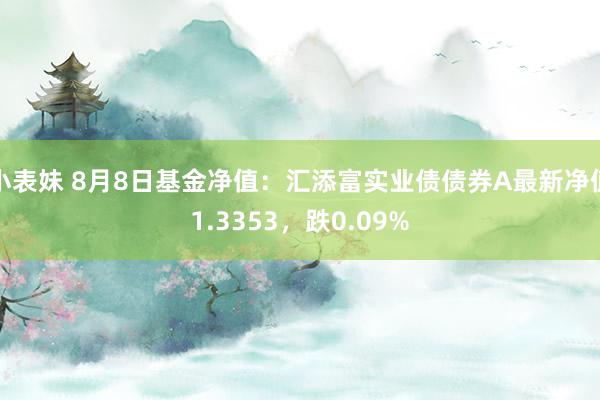 小表妹 8月8日基金净值：汇添富实业债债券A最新净值1.3353，跌0.09%