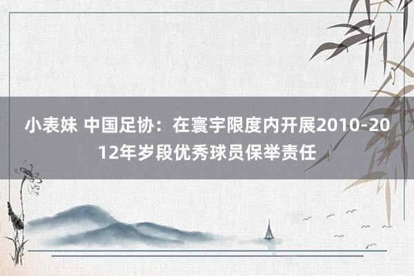 小表妹 中国足协：在寰宇限度内开展2010-2012年岁段优秀球员保举责任