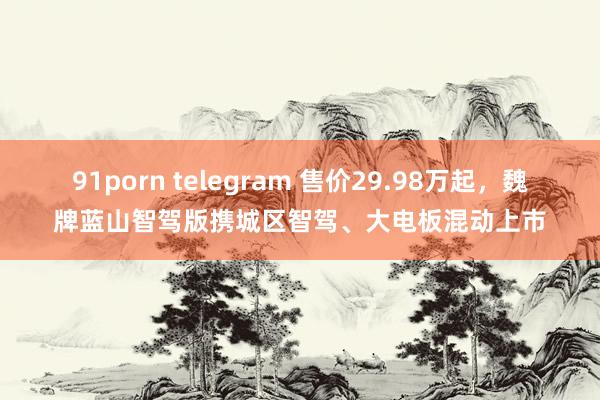 91porn telegram 售价29.98万起，魏牌蓝山智驾版携城区智驾、大电板混动上市