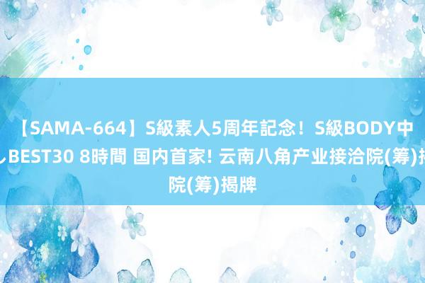 【SAMA-664】S級素人5周年記念！S級BODY中出しBEST30 8時間 国内首家! 云南八角产业接洽院(筹)揭牌