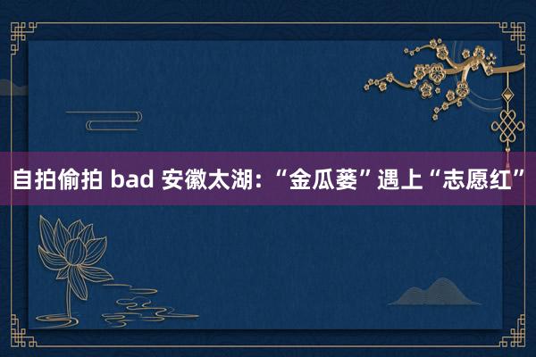 自拍偷拍 bad 安徽太湖: “金瓜蒌”遇上“志愿红”