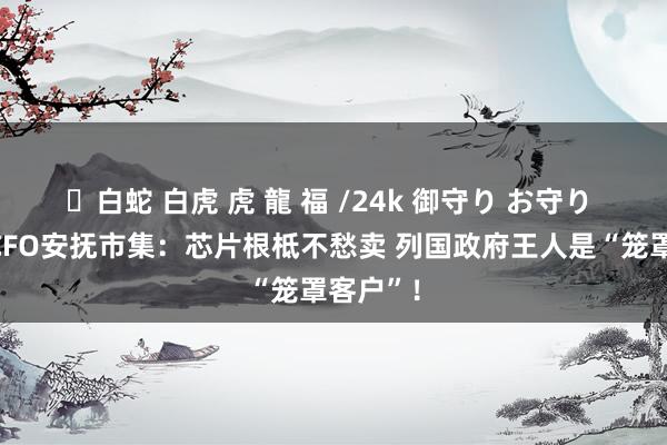 ✨白蛇 白虎 虎 龍 福 /24k 御守り お守り 英伟达CFO安抚市集：芯片根柢不愁卖 列国政府王人是“笼罩客户”！