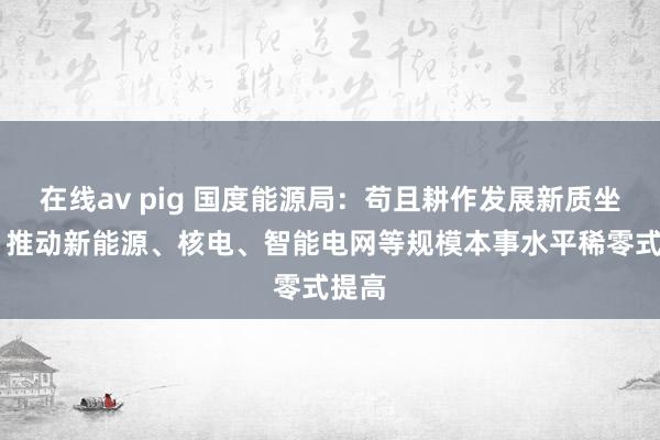 在线av pig 国度能源局：苟且耕作发展新质坐蓐力 推动新能源、核电、智能电网等规模本事水平稀零式提高