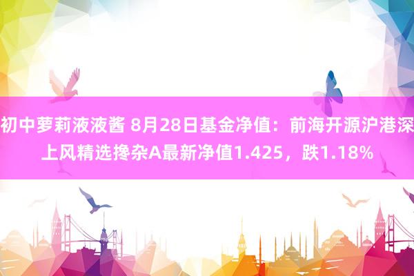 初中萝莉液液酱 8月28日基金净值：前海开源沪港深上风精选搀杂A最新净值1.425，跌1.18%