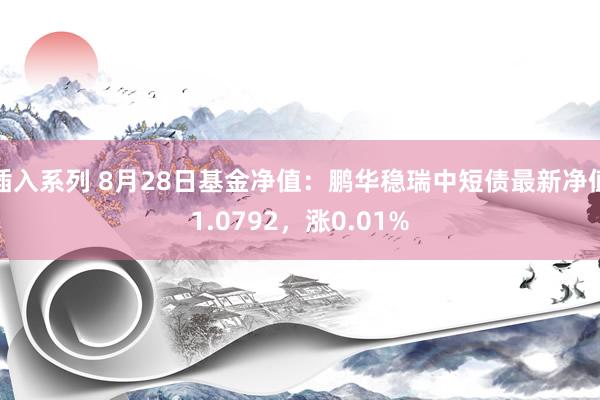 插入系列 8月28日基金净值：鹏华稳瑞中短债最新净值1.0792，涨0.01%