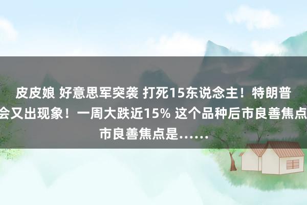 皮皮娘 好意思军突袭 打死15东说念主！特朗普竞选集会又出现象！一周大跌近15% 这个品种后市良善焦点是……