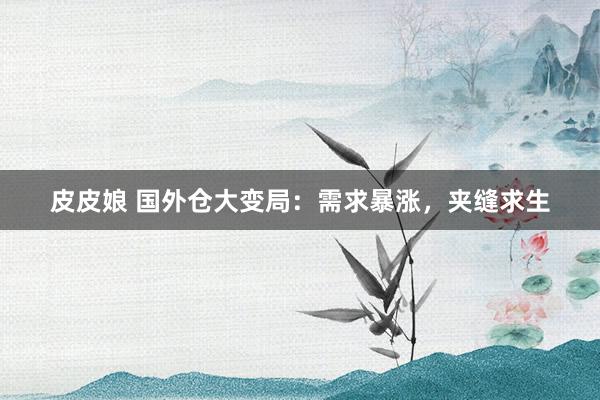 皮皮娘 国外仓大变局：需求暴涨，夹缝求生